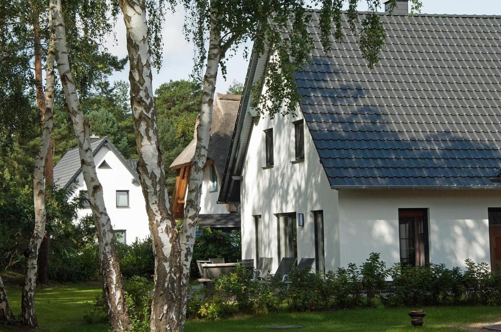 Duenenresidenz Glowe - Ferienhaus Maxi 200 M Zum Strand מראה חיצוני תמונה